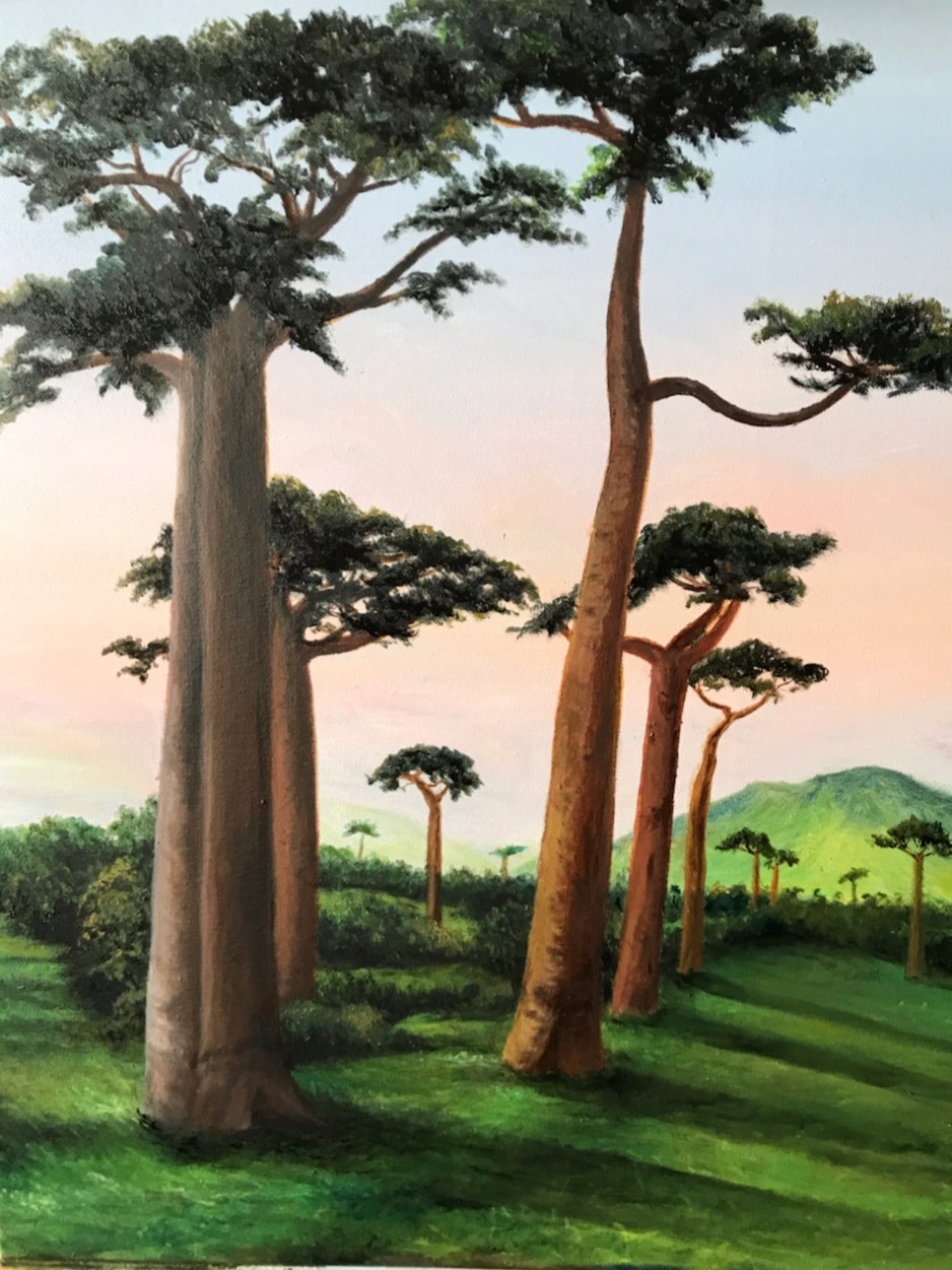 Baobabs