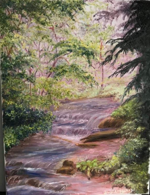 Rivière en cascade