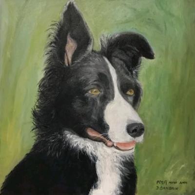 Animaux